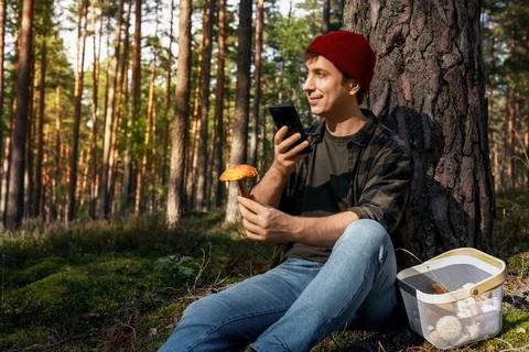 Man using smartphone app for mushroom identification in autumn forest. Scan.. Stock Photos