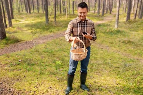 Man using smartphone to identify mushroom Stock Photos