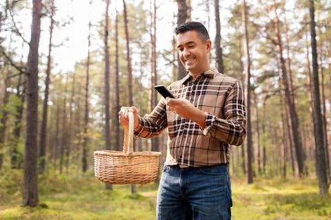 Man using smartphone to identify mushroom Stock Photos