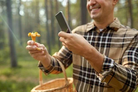 Man using smartphone to identify mushroom Stock Photos