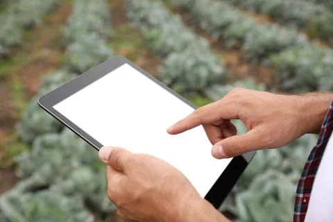 Man using tablet with blank screen in field, closeup. Agriculture technology Stock Photos