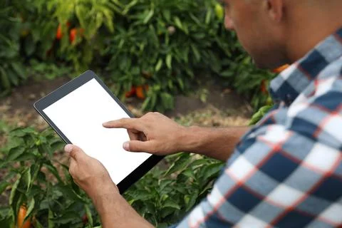 Man using tablet with blank screen in field, closeup. Agriculture technology Stock Photos