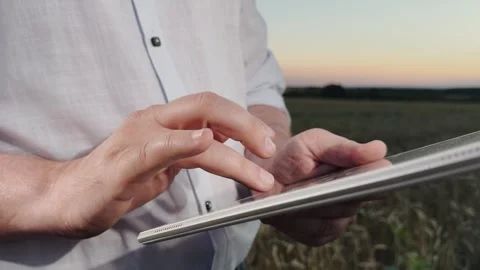 Man using a tablet outdoors, digital technology in nature, farmer checking data Stock Footage 305789924