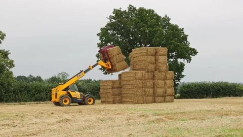 Man using a telehandler to lift bales of straw. UK Stock Footage 160260545