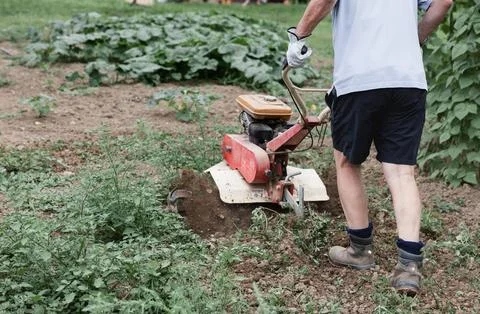 Man using tiller machine in vegetable garden Stock Photos