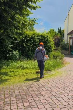 Man using a tool to cut grass in a garden area Фото