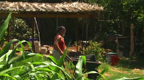 Man using wheelbarrow. Video stock 53225376