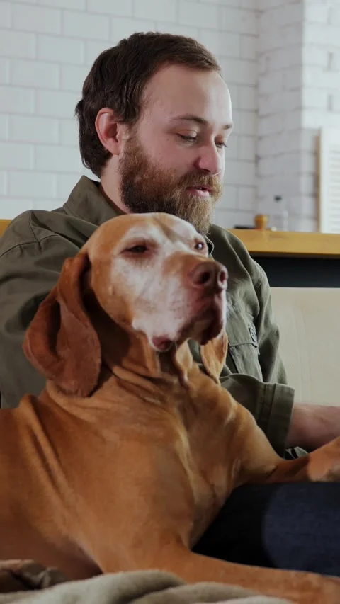 Man Video Calling on Smartphone With Dog Stock-Footage 320803766