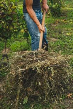 Man in a vineyard Foto stock