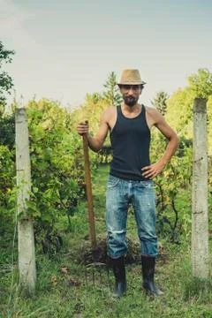 Man in a vineyard Foto stock