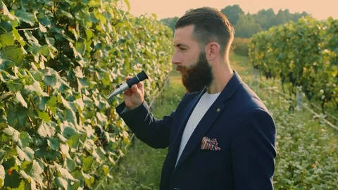 Man on vineyard with special instrument Stock Footage 98295249