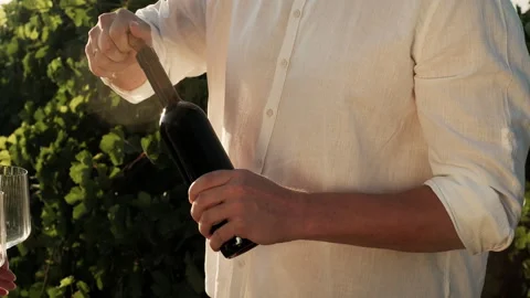 Man in vineyards open wine bottle during grapes harvest Stock Footage 285884150