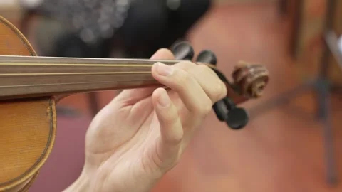 Man violinist performing violins during a musical concert on a classical theater Stock Footage 262503373