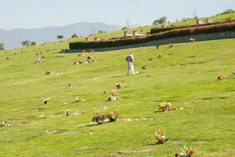Man visiting grave in cemetery Stock Photos