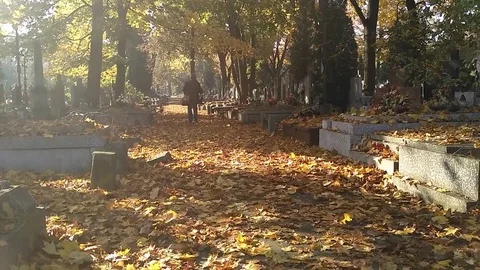 Man visiting grave at old catholic cemetery Stock Footage 81216321