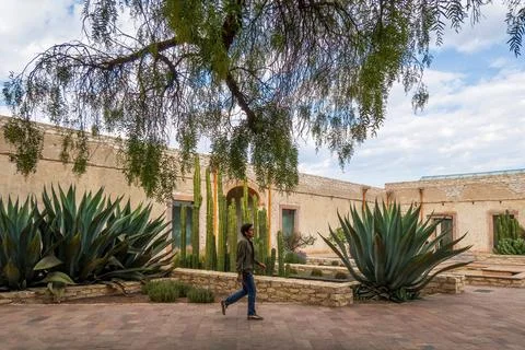 Man visiting the old rustic model school with cactus in Mineral de Pozos Gu.. Stock Photos