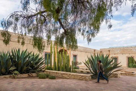 Man visiting the old rustic model school with cactus in Mineral de Pozos Gu.. Foto stock
