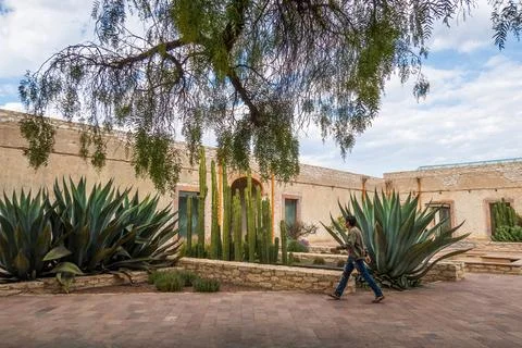 Man visiting the old rustic model school with cactus in Mineral de Pozos Gu.. Stock Photos