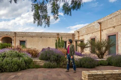 Man visiting the old rustic model school with cactus in Mineral de Pozos Gu.. Stock Photos