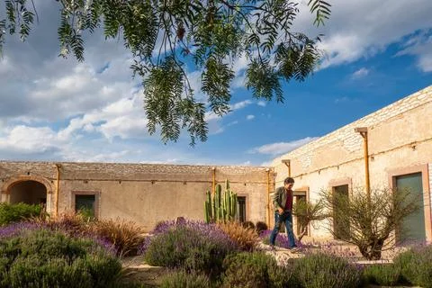 Man visiting the old rustic model school with cactus in Mineral de Pozos Gu.. Stock Photos