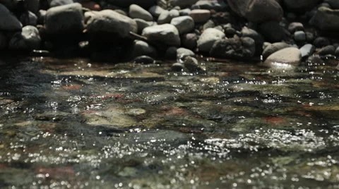 Man wades into clear river Stock Footage 51682159