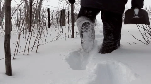 Man wades knee-deep through snow with shovel in countryside Stock Footage 1105832