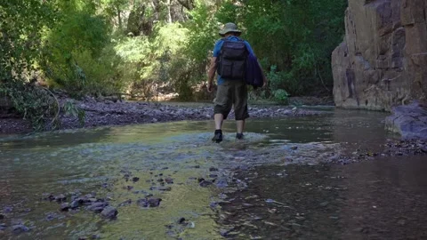 A man wading across a canyon stream while hiking Stock Footage 319663201