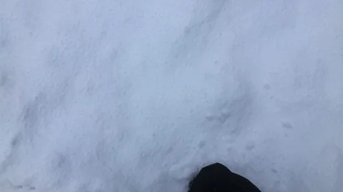 Man Waking in Deep Snow 動画素材 112321714
