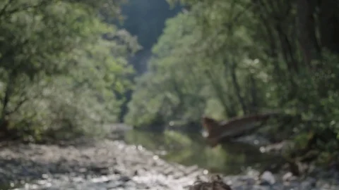 Man waking up by the river bank 動画素材 76737655
