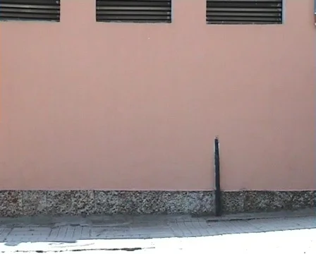 Man Walk Stock Footage 83979