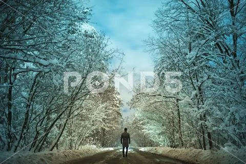 The man walk on the forest road. evening night time Stock Photos