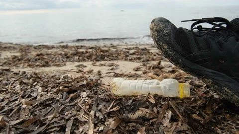 Man walk over plastic bottle discarded on sea ecosystem,nature waste pollution Stock Footage 230736509