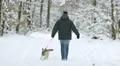 The man walk in the snowy forest with a Husky. Real time capture 4k or 4k+ Resolution