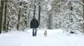 The man walk in the snowy forest with a Husky. Real time capture 4k or 4k+ Resolution
