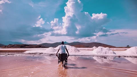Man walk through pink salt ponds work at natural salt farm reservoirs Stock Footage 320375113