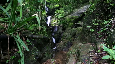 Man walk to waterfall take a picture by smartphone Stock Footage 56020938