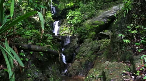 Man walk to waterfall take a picture by smartphone Stock Footage 56022121