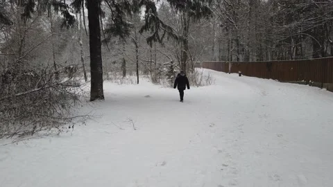 Man walk in winter in the forest Stock Footage 146079726