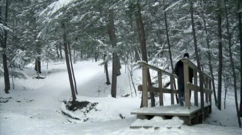 Man Walking 485 Stock Footage 600898