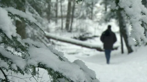 Man Walking 491 Stock Footage 600955