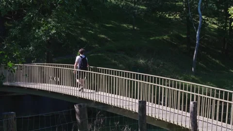 Man Walking Across Bridge In Green Forest Stock Footage 319967758