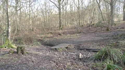 Man Walking Across Bridge (Model Released) Video stock 1079666