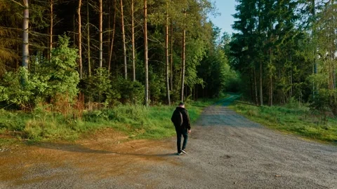 Man walking across forest junction in sunny weather. Explorer moving through Stock Footage 319990783