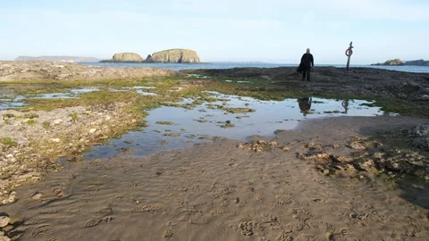 Man walking alone Causeway Coast seascape Stock-Footage 291995464
