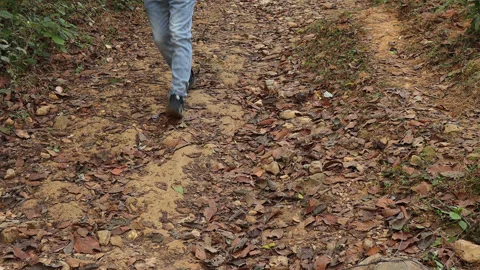 Man walking alone in the forest alone Stock Footage 226776619