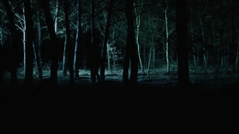 Man Walking Alone in the Forest Stock Footage 259127982