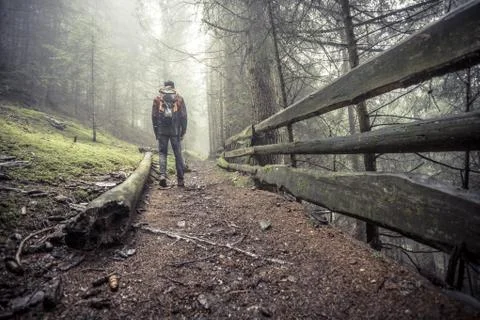 A man walking alone inside a forest in a foggy day Foto stock