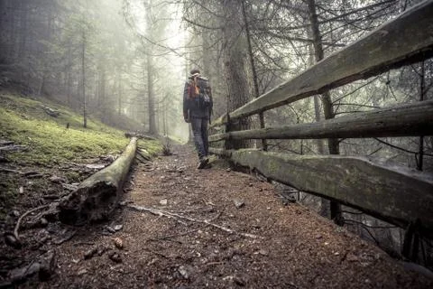 A man walking alone inside a forest in a foggy day Stock Photos