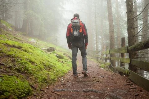 A man walking alone inside a forest in a foggy day Stock Photos