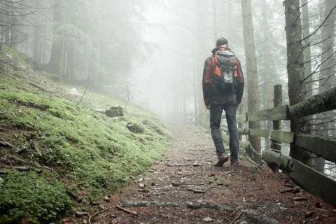 A man walking alone inside a forest in a foggy day Fotos Stock